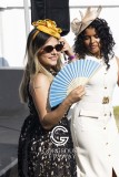 ASCOT-FRIDAY-216
